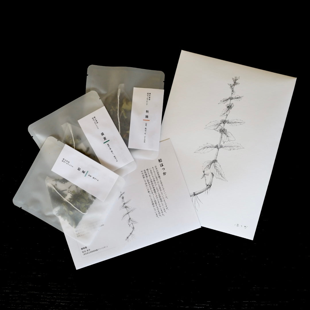 【NEW】tretre 摘み草茶 -夏- ※限定品