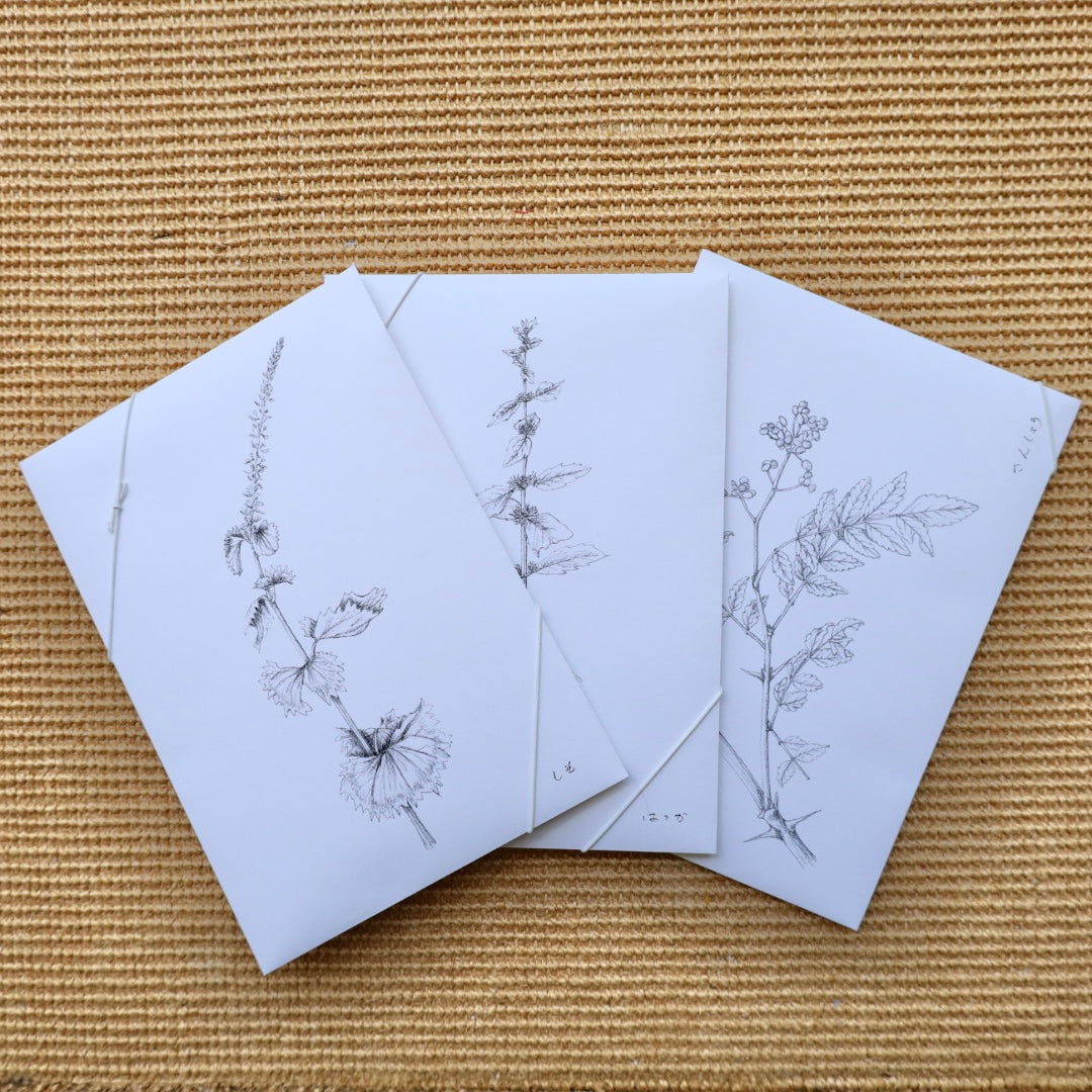 【NEW】tretre 摘み草茶 -夏- ※限定品