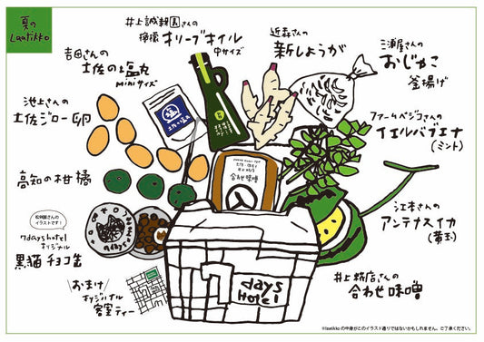 夏のｌａａｔｉｋｋｏ、ご予約受付開始！