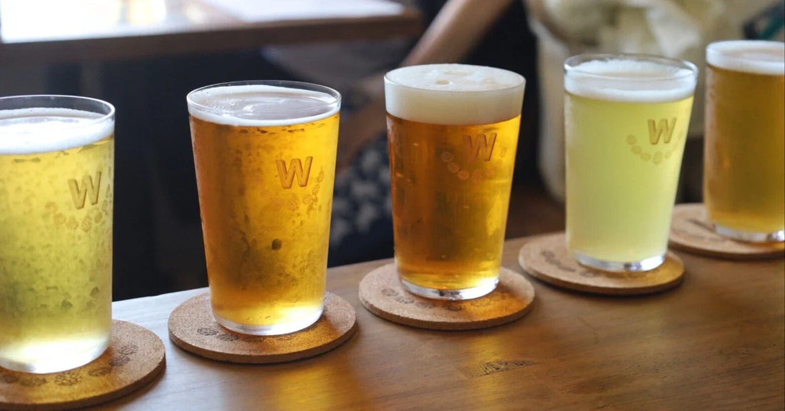 【高知のつくり手を訪ねて】WAYFARER BREWING COMPANY