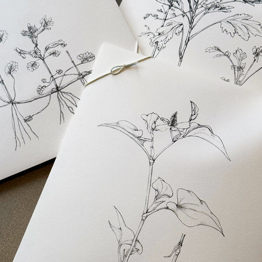 tretre 摘み草茶 -春-