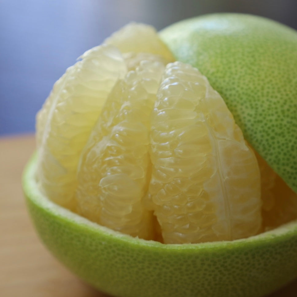 🍁秋のlaatikko 【11/14(金)発送予定】※完売