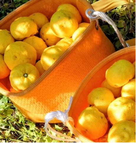 🍁秋のlaatikko 【11/14(金)発送予定】※完売