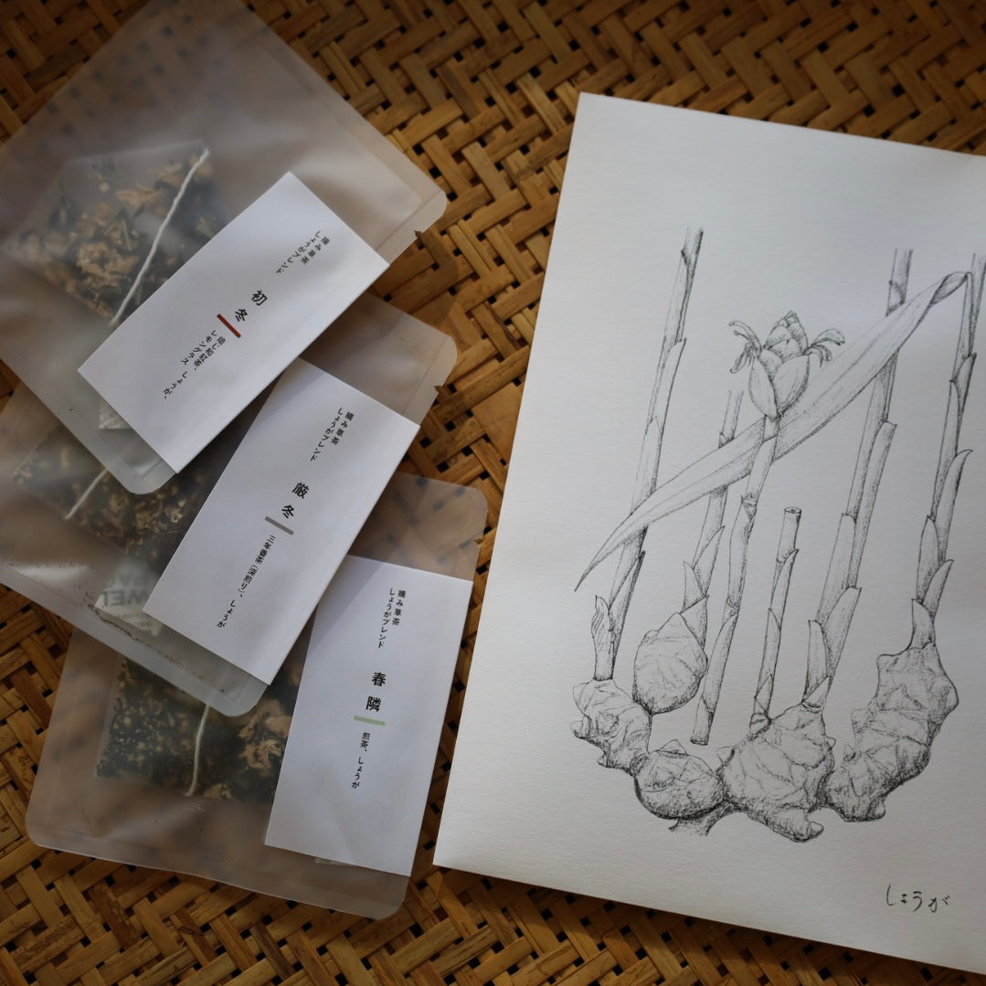 tretre 摘み草茶 -冬-