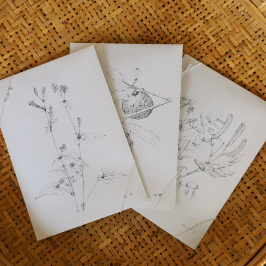 tretre 摘み草茶 -秋- ※秋季限定