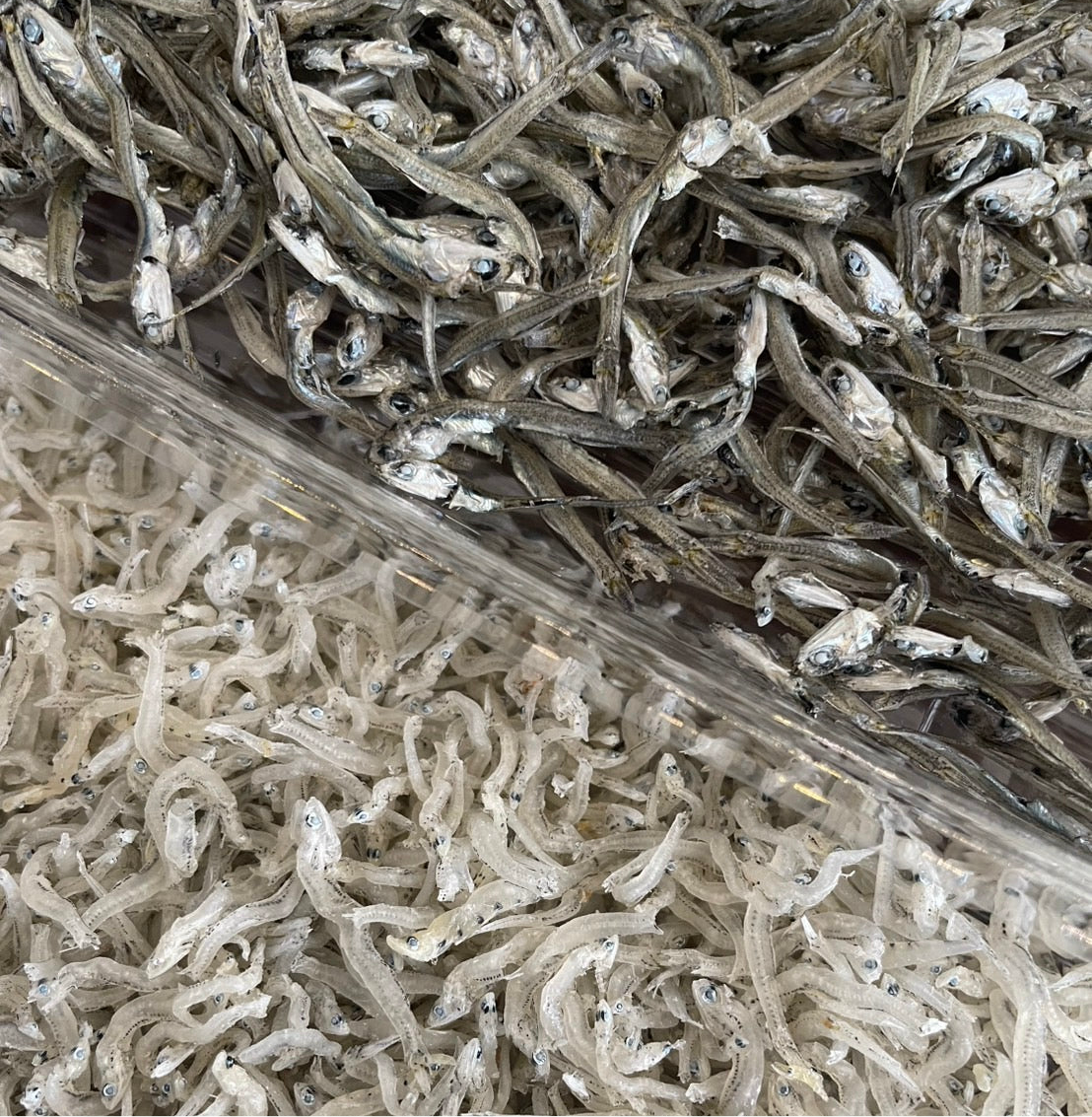 🍁秋のlaatikko 【11/14(金)発送予定】※完売