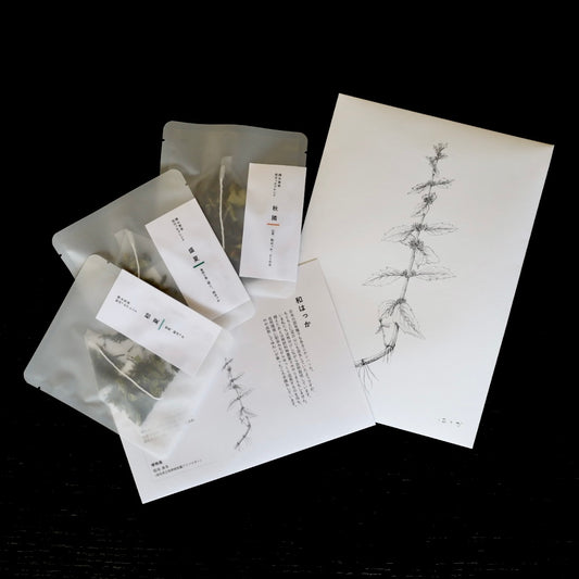 【NEW】tretre 摘み草茶 -夏- ※限定品