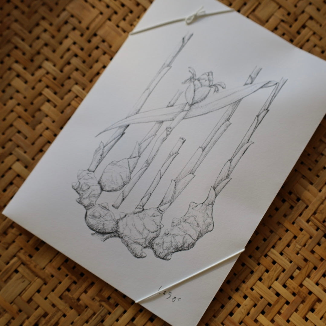 tretre 摘み草茶 -冬-