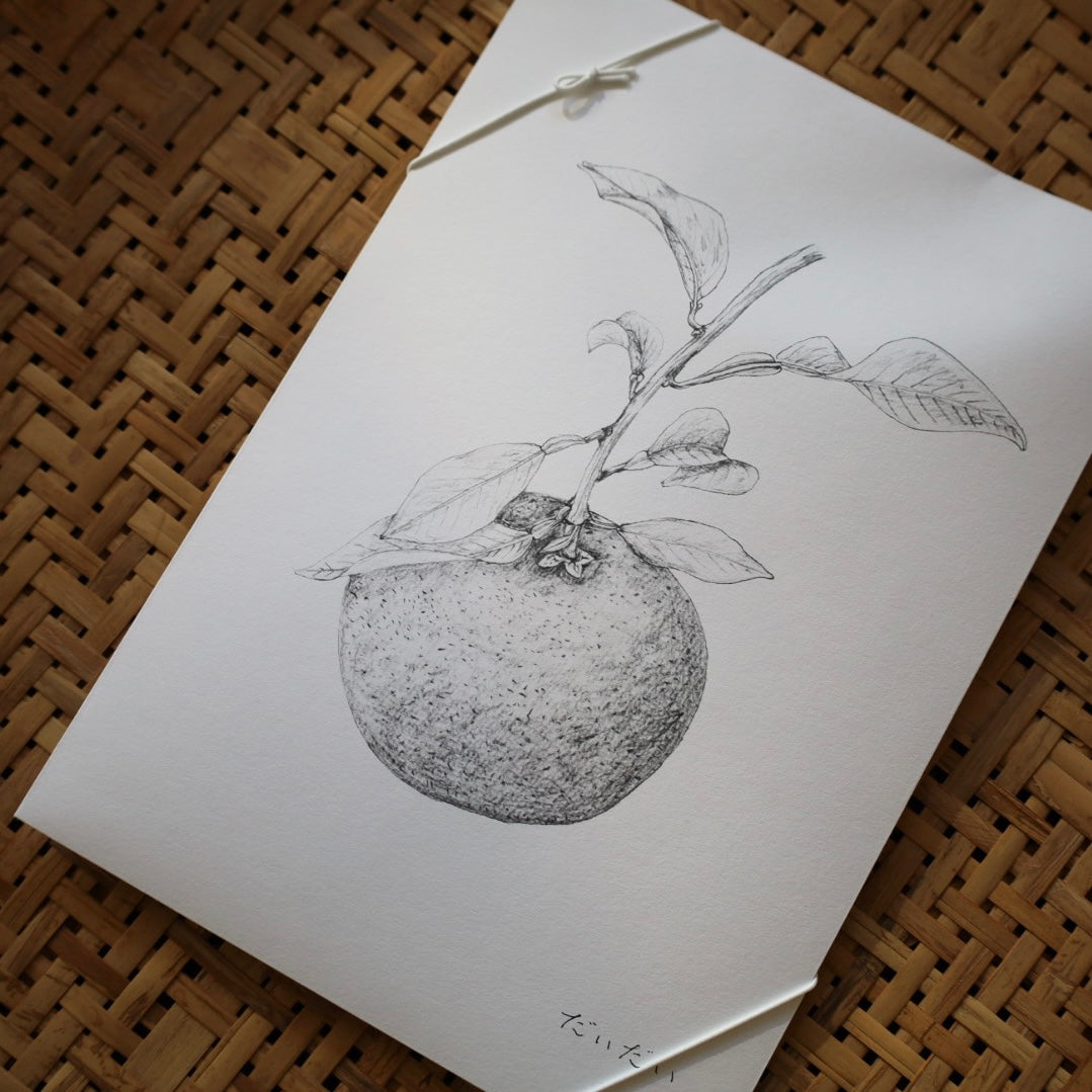 tretre 摘み草茶 -冬-